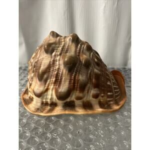 Natural Bull's mouth Helmet Conch Shell Coral Sea Snail Fish Tank Aquarium Decor